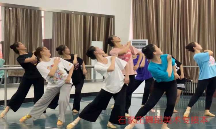 舞蹈专升本培训